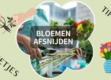 Het belang van bloemen schuin afsnijden