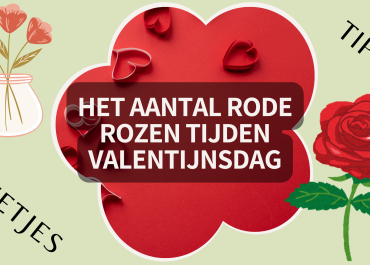 De Symboliek van Rode Rozen: Aantal en Betekenis