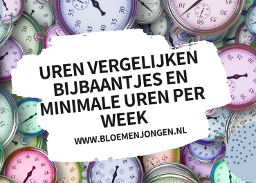 Het belang van flexibiliteit: bijbaantjes vergelijken op minimale Uren