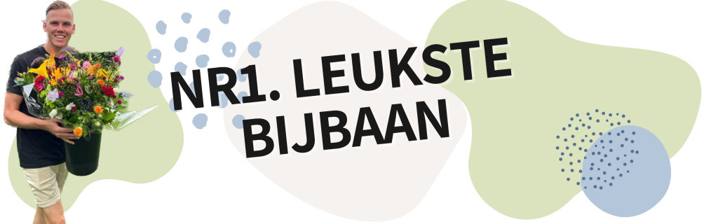Blog tussenstuk