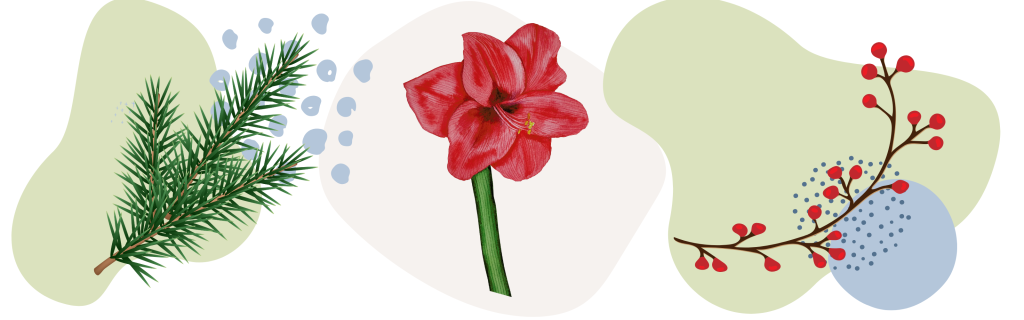 Een eigen bloemenwijk de winter 2 Winterbloemen