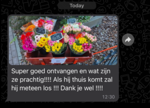review over een bleomenwijk als bijbaan whatsapp resultaat